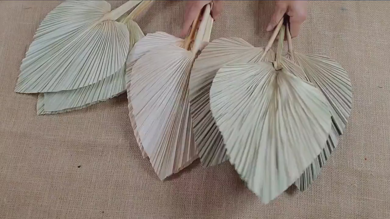 3 Pcs Natural Dried Palm Spears: Boho Wedding Decor