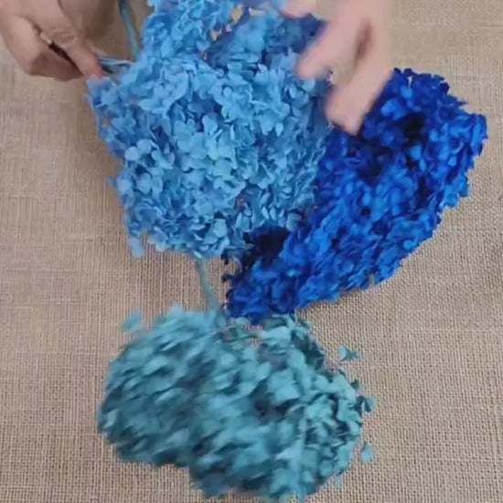 Blue Preserved Hydrangea: Real Dried Wedding Flowers