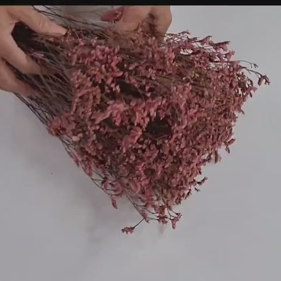 Pink Purple Preserved German Statice, Limonium Dried Flower, Crystal flowers, Wedding, DIY flower arranging, 19"-20"tall