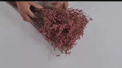 Pink Purple Preserved German Statice, Limonium Dried Flower, Crystal flowers, Wedding, DIY flower arranging, 19"-20"tall