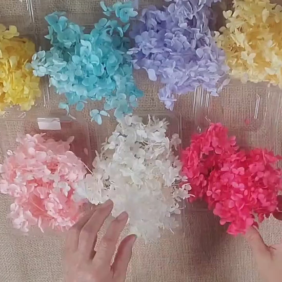 Preserved Hydrangeas: Colorful Dried Flowers, Wedding Home Decor