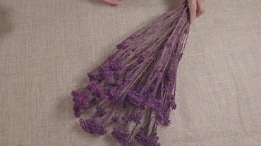 Peris Purple Preserved Rice Flower: Wedding Bouquet Filler (19-20" Tall)