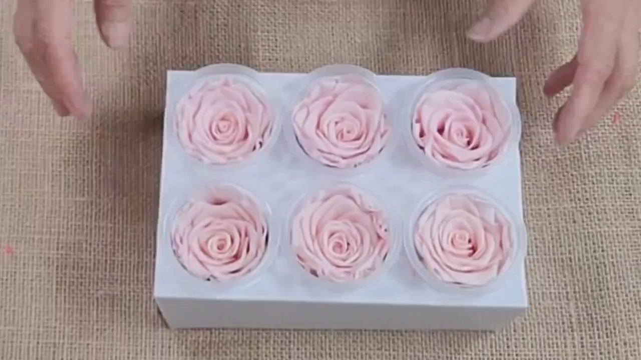 6 Light Pink Preserved Roses: DIY Floral Decor