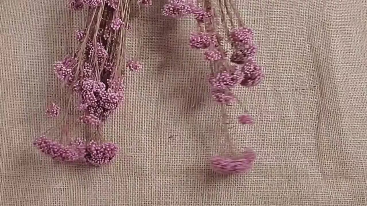 Light Purplish Red Preserved Rice Flower: Dried Floral Arrangement (19-20" Tall)