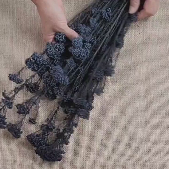 Black Preserved rice flower, flowers for bouquets, wedding flowers, filler, dried flowers  arrangements, Wedding decor, 19"-20"tall,