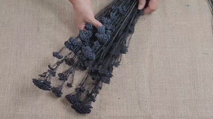 Black Preserved rice flower, flowers for bouquets, wedding flowers, filler, dried flowers  arrangements, Wedding decor, 19"-20"tall,