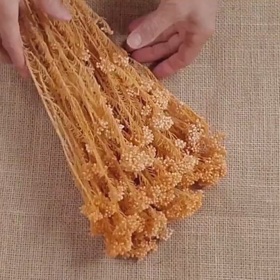 Bleached Orange Preserved Rice Flower: Wedding Bouquet Arrangement (19-20" Tall)