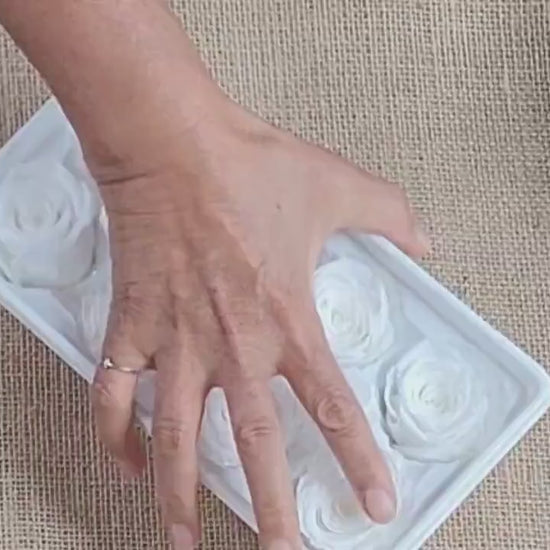 8 White Preserved Roses: Medium Kanon Wedding Flowers