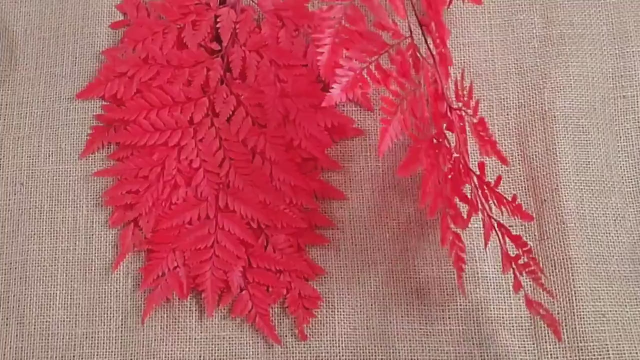 Red Preserved Fern: Wedding Bouquet Filler, Dried Flower Arrangement (19-20" Tall)