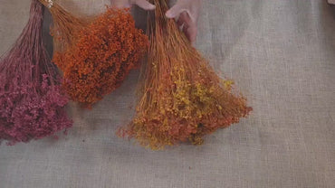 Dried Broom Bloom Bundle: Natural Floral Wedding Decor, 20"