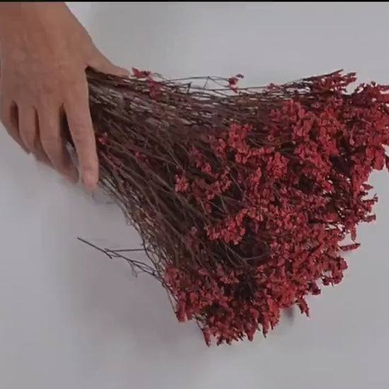 Red Preserved German Statice: Dried Limonium Flowers, DIY Floral Arrangement