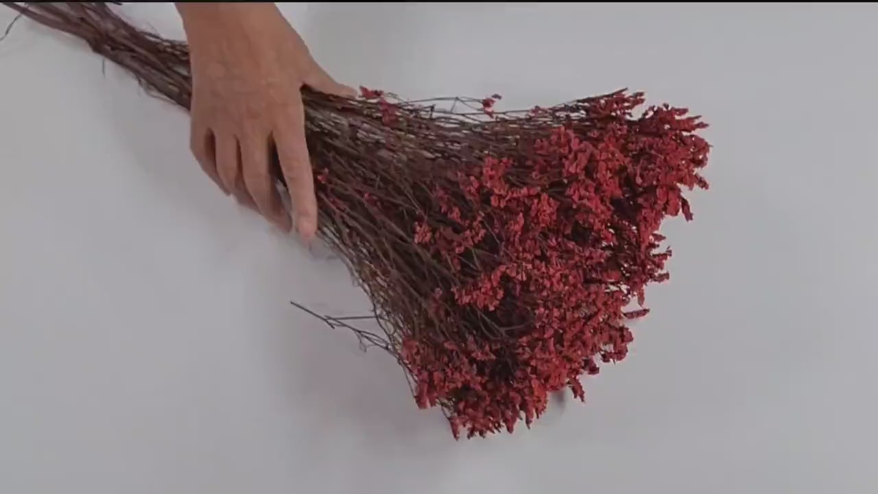 Red Preserved German Statice: Dried Limonium Flowers, DIY Floral Arrangement
