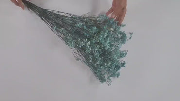 Light Blue Preserved Baby's Breath Bundle: Natural Gypsophilia