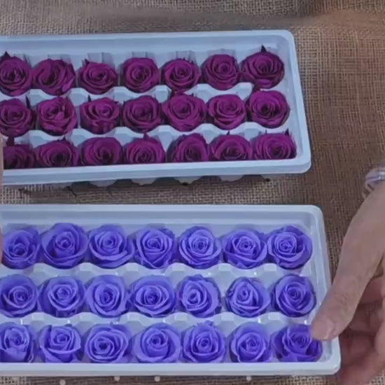 21 Violet Preserved Roses: DIY Floral Arrangements