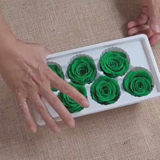 6 Green Preserved Roses: Large Floral Wedding Decor