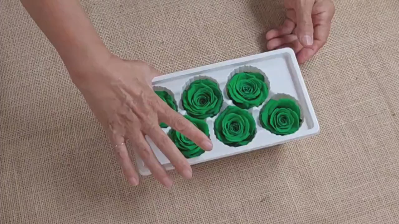 6 Green Preserved Roses: Large Floral Wedding Decor