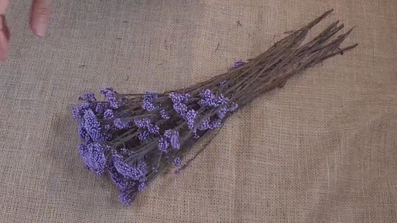 Purple Preserved rice flower, flowers for bouquets, wedding flowers, filler, dried flowers  arrangements, Wedding decor, 19"-20"tall,