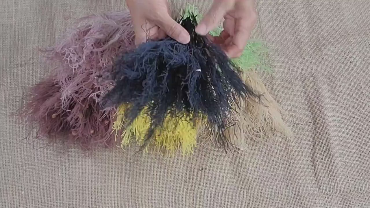 Preserved Dream Grass Columbine: Natural Dried Flower Arrangement