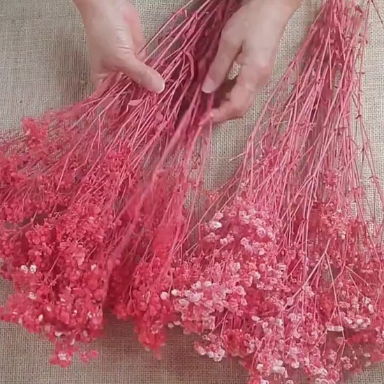 Red Preserved Baby's Breath Bundle: Natural Gypsophilia
