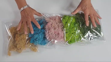 Preserved Reindeer Moss - 2oz - 5 Colors