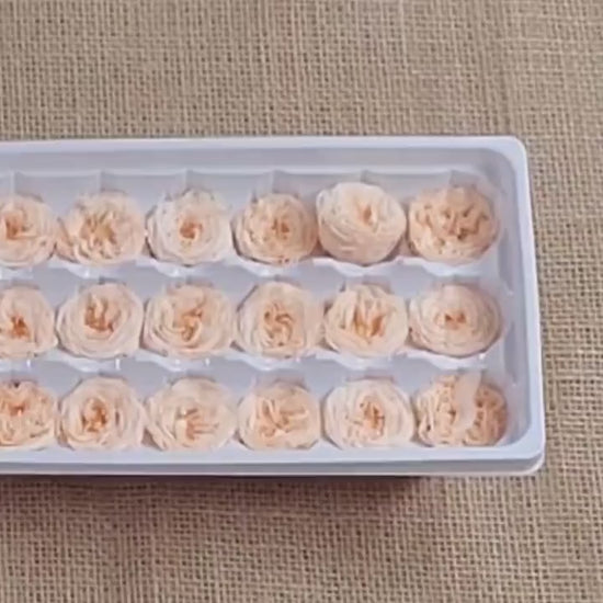 21 Champagne Preserved Roses: Dried Floral Wedding Decor