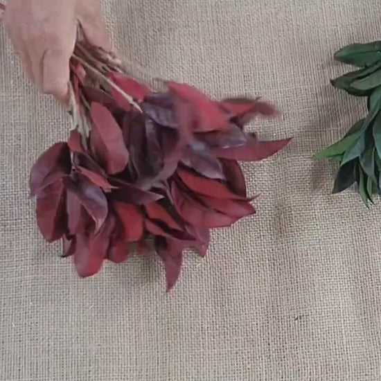 Preserved Osmanthus branches for Home flower arrangement and Garland decoration