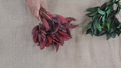 Preserved Osmanthus branches for Home flower arrangement and Garland decoration
