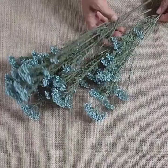 Light Blue Preserved Rice Flower, Wedding Bouquet Filler (19-20" Tall)