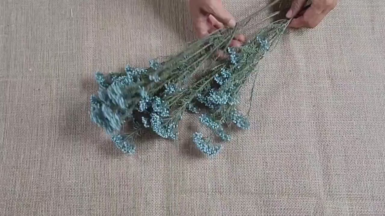Light Blue Preserved Rice Flower, Wedding Bouquet Filler (19-20" Tall)