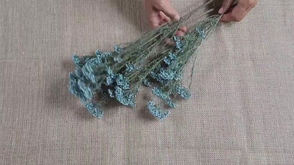 Light Blue Preserved Rice Flower, Wedding Bouquet Filler (19-20" Tall)
