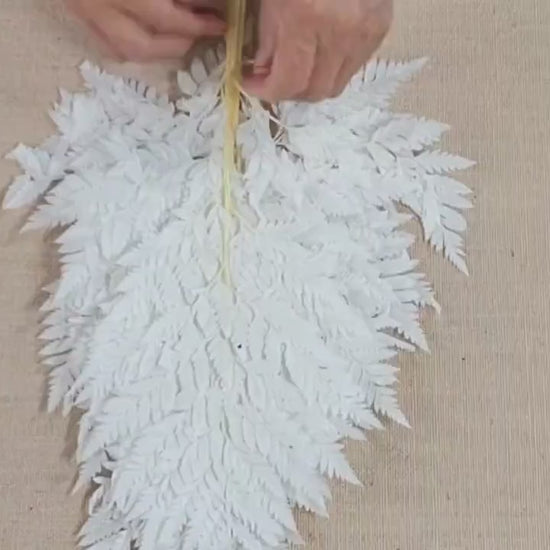 Bleached Leather Leaf Fern: 10 Stems Preserved White Floral Decor