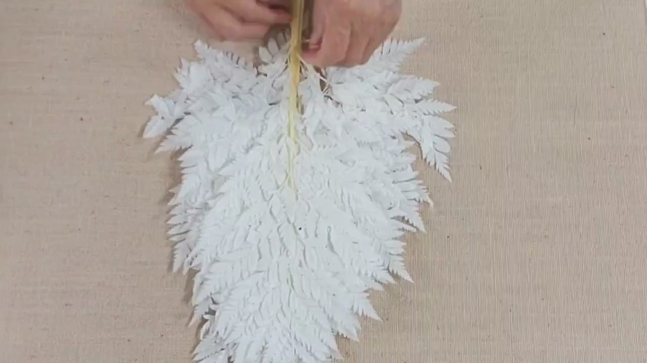 Bleached Leather Leaf Fern: 10 Stems Preserved White Floral Decor