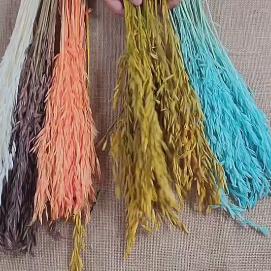 Dried Oats Flower Bundle: Home & Wedding Decor, 20 Stems