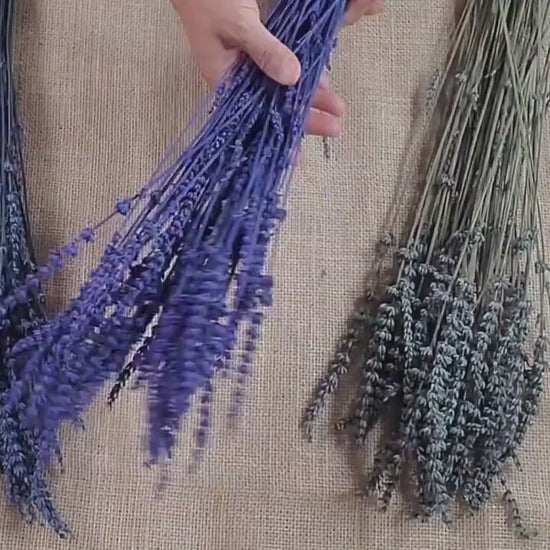 Organic Dried Lavender: Bulk Wholesale, Relaxing Aroma (4oz)