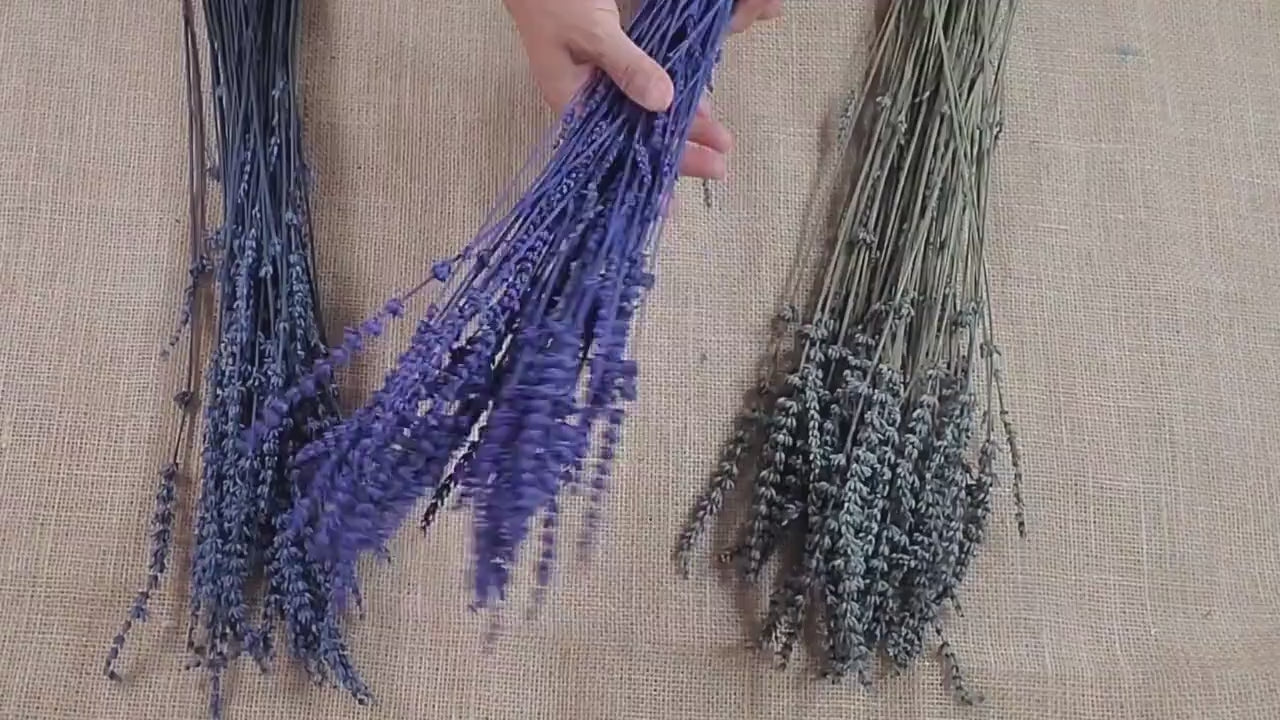Organic Dried Lavender: Bulk Wholesale, Relaxing Aroma (4oz)