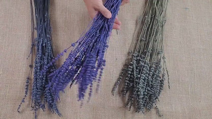 Organic Dried Lavender: Bulk Wholesale, Relaxing Aroma (4oz)
