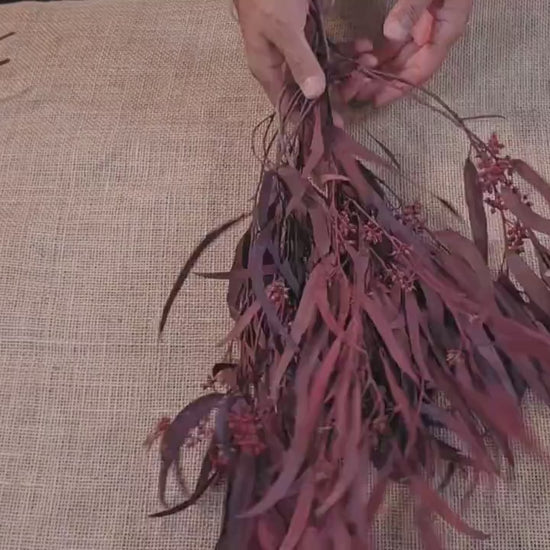 Red Preserved Eucalyptus & Willow Leaves: Rustic Home Decor