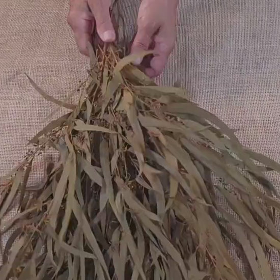 Yellow Preserved Eucalyptus Olive Seeded Willow Leaves for Indoor Home & Office Decor; Millet Leaf Party Decoration Plants
