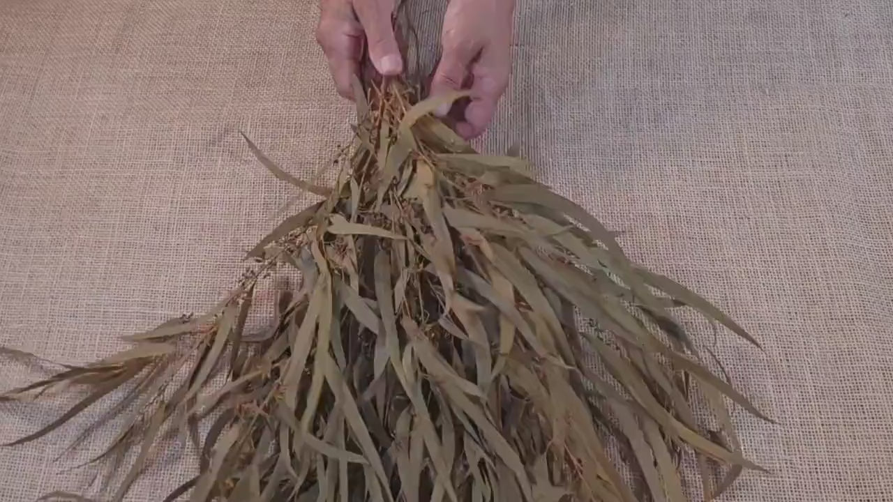 Yellow Preserved Eucalyptus Olive Seeded Willow Leaves for Indoor Home & Office Decor; Millet Leaf Party Decoration Plants