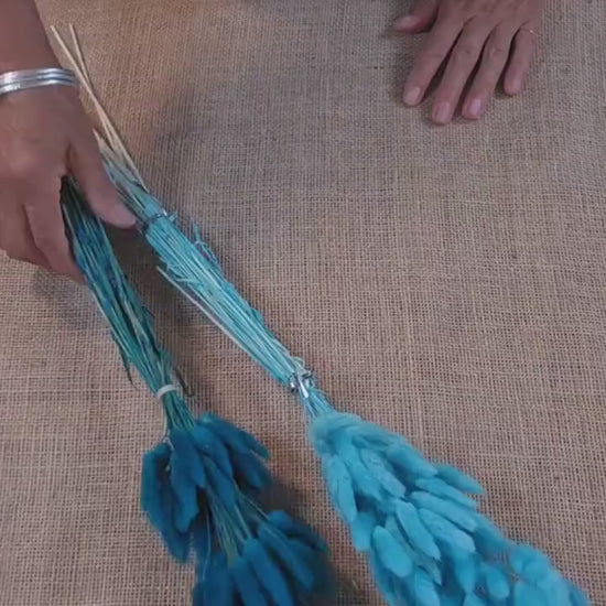 60 Blue Dried Bunny Tail Grass Stems: Boho Wedding Decor
