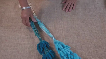 60 Blue Dried Bunny Tail Grass Stems: Boho Wedding Decor