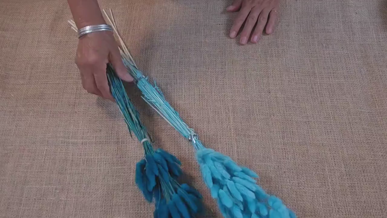 60 Blue Dried Bunny Tail Grass Stems: Boho Wedding Decor