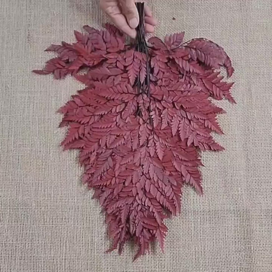 Wine Red Preserved Fern Leather Leaf: 10 Stems Floral Decor