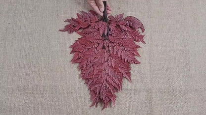 Wine Red Preserved Fern Leather Leaf: 10 Stems Floral Decor