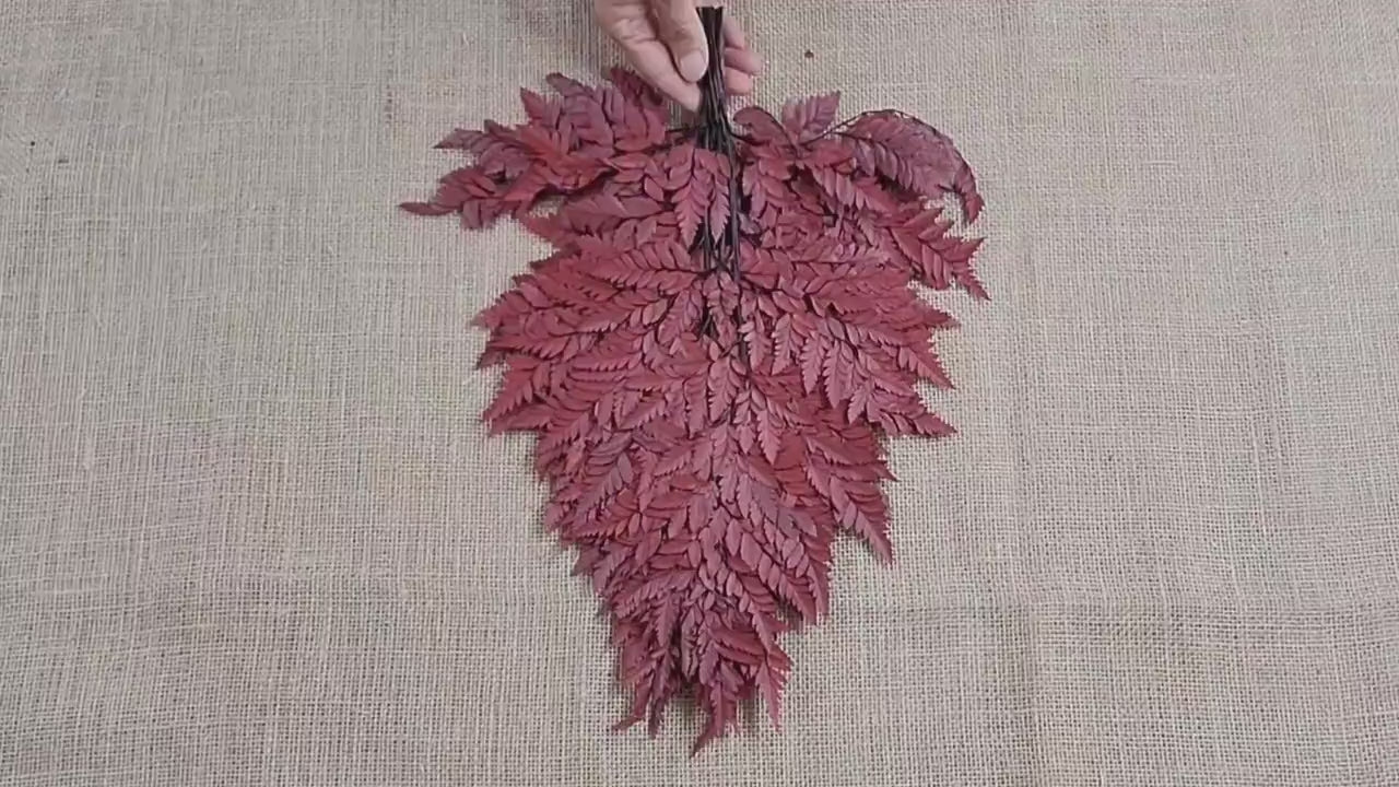Wine Red Preserved Fern Leather Leaf: 10 Stems Floral Decor