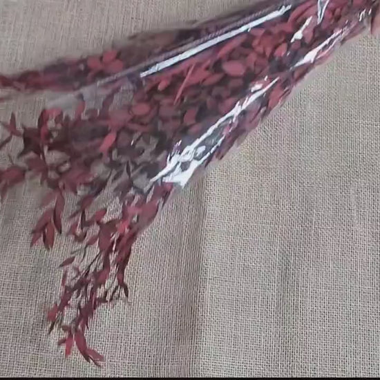 Red Preserved Eucalyptus: Small Leaf Parvifolia, Dried