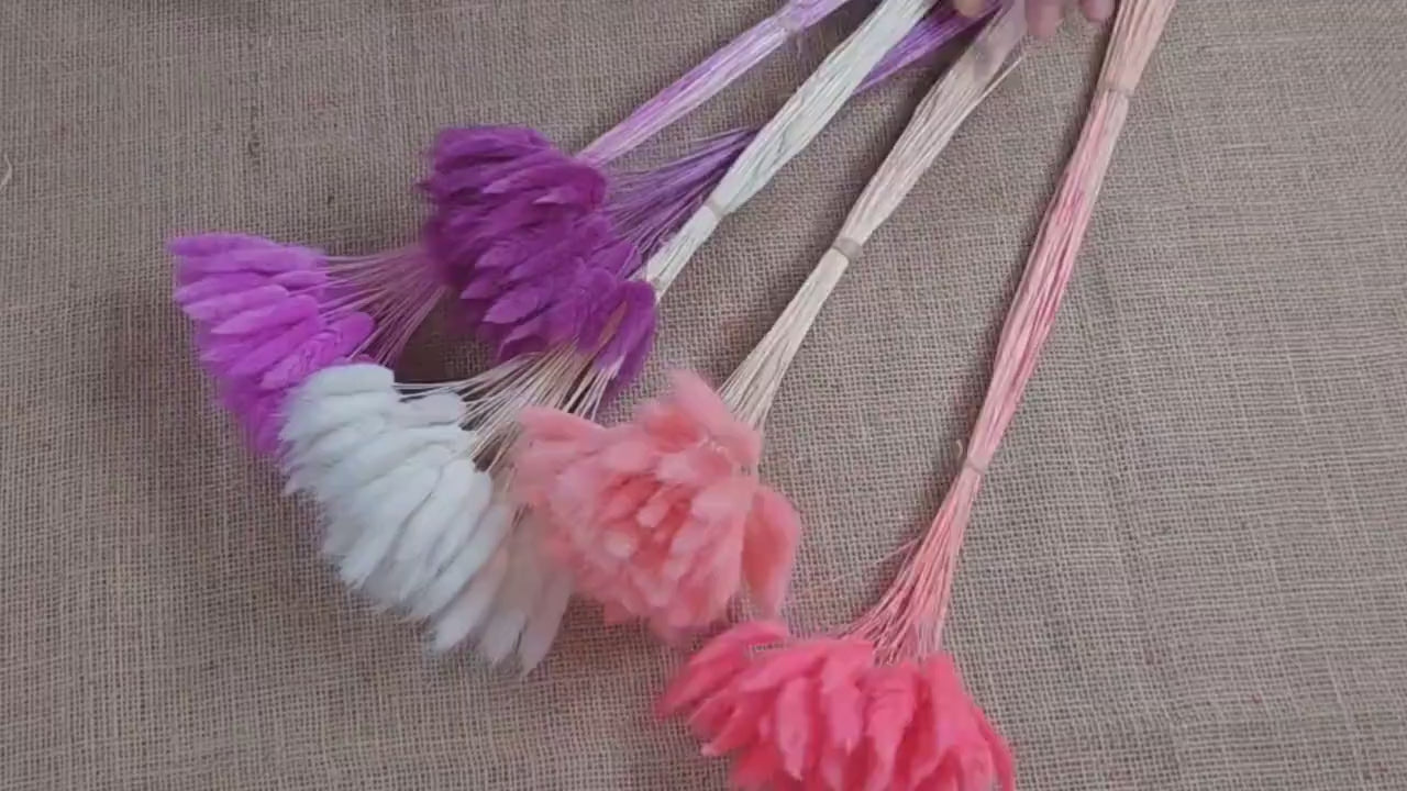 Purple Dried Bunny Tail Grass Stems: Boho Wedding Decor