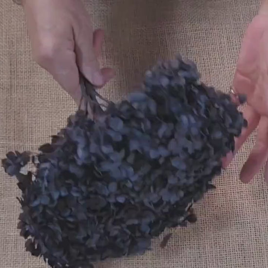 Black Preserved Hydrangea: Real Dried Wedding Flowers