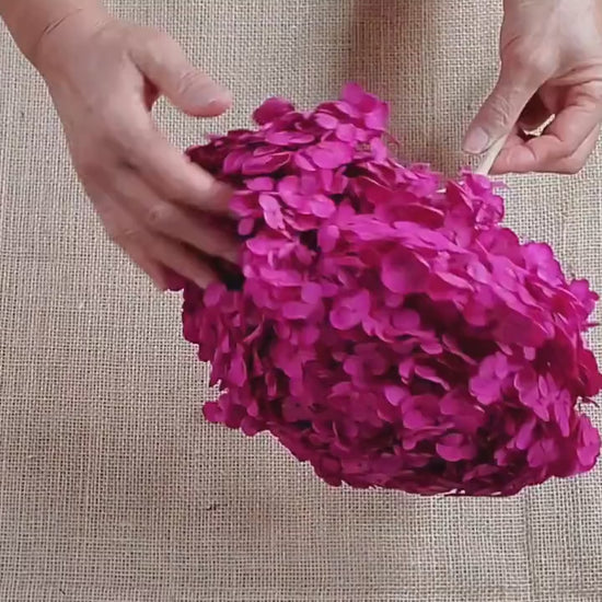 Rose Red Preserved Hydrangea: Wedding Flowers, 18-20" Tall