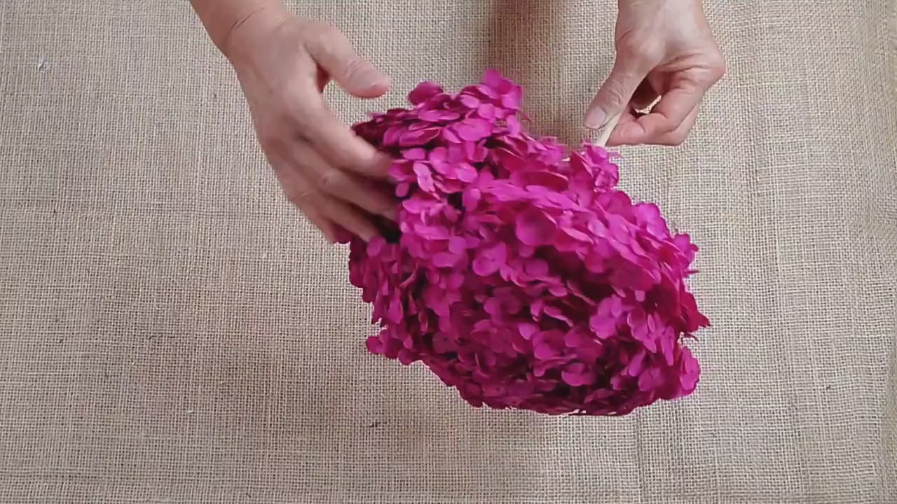 Rose Red Preserved Hydrangea: Wedding Flowers, 18-20" Tall